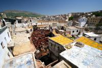 The Fes Tanneries